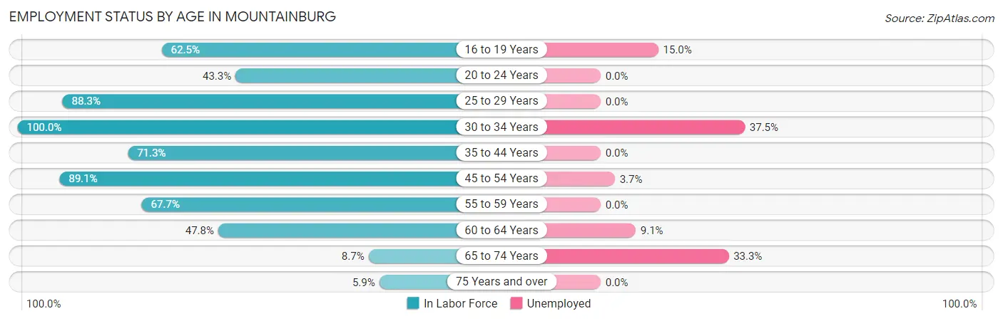 Employment Status by Age in Mountainburg