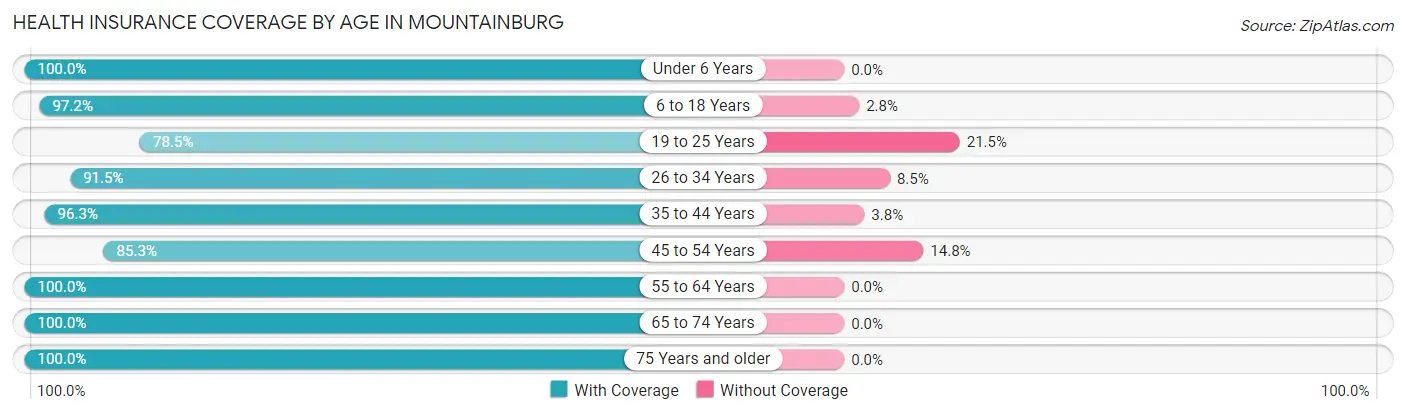 Health Insurance Coverage by Age in Mountainburg