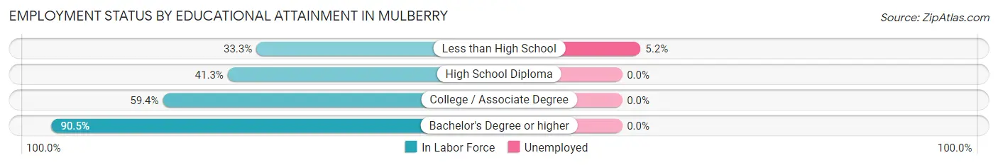 Employment Status by Educational Attainment in Mulberry