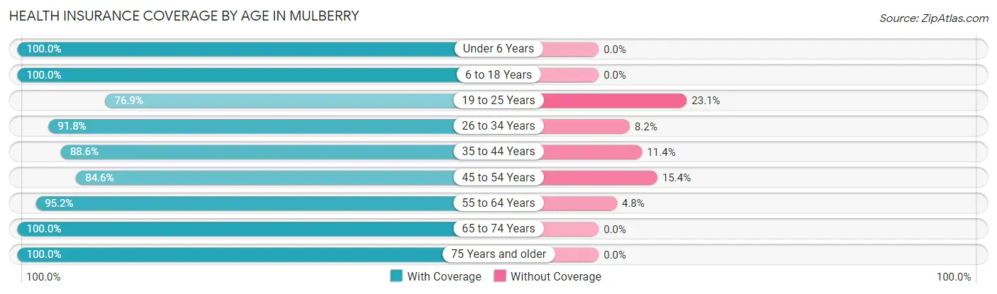 Health Insurance Coverage by Age in Mulberry