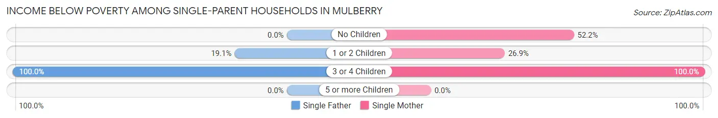 Income Below Poverty Among Single-Parent Households in Mulberry