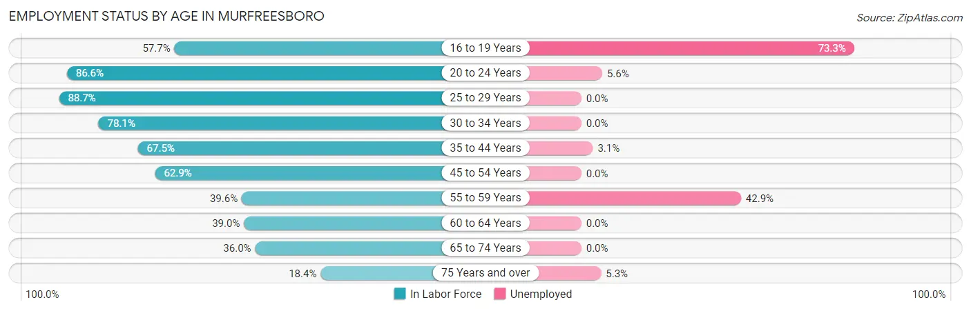Employment Status by Age in Murfreesboro
