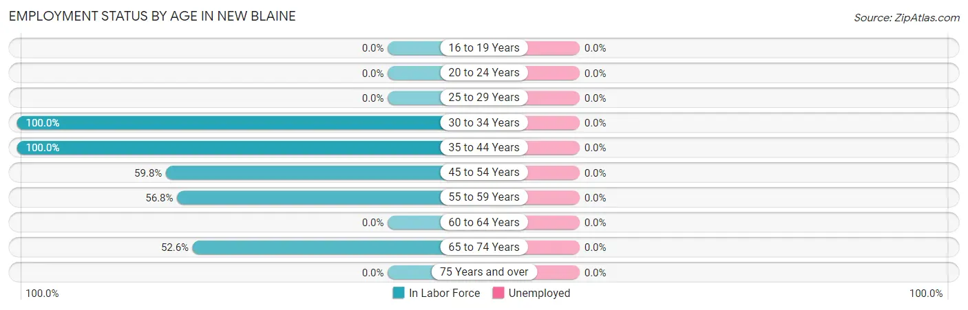 Employment Status by Age in New Blaine