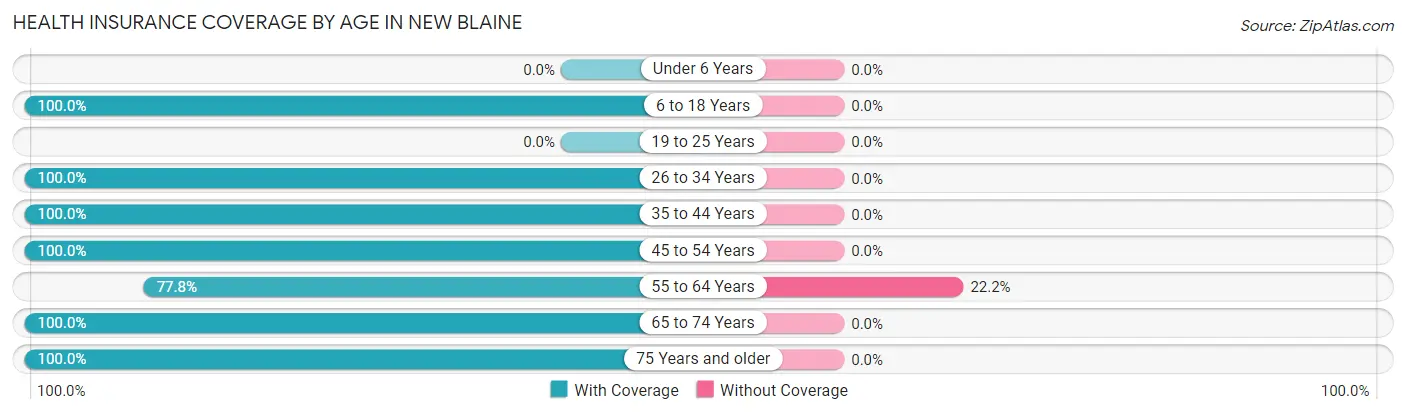 Health Insurance Coverage by Age in New Blaine