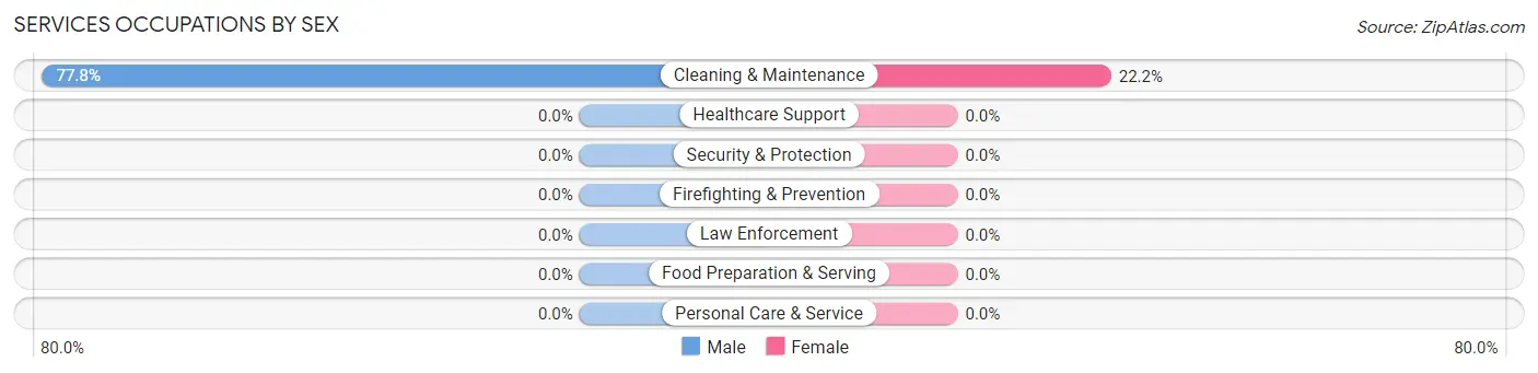Services Occupations by Sex in New Blaine