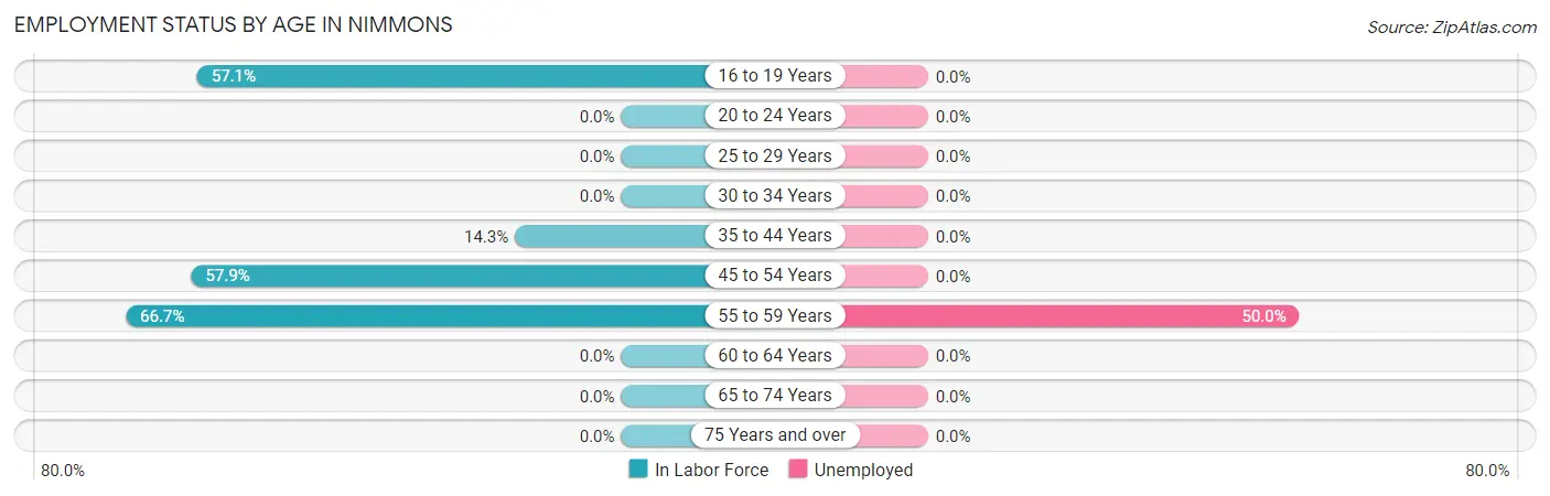 Employment Status by Age in Nimmons