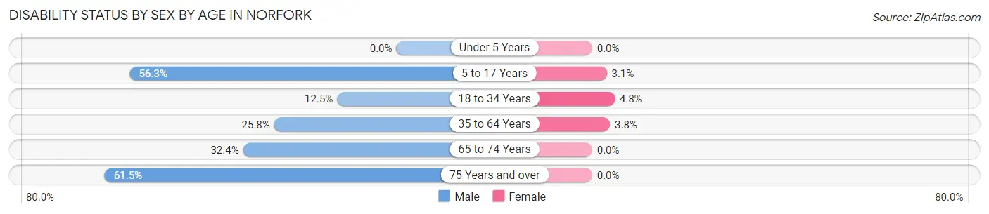 Disability Status by Sex by Age in Norfork