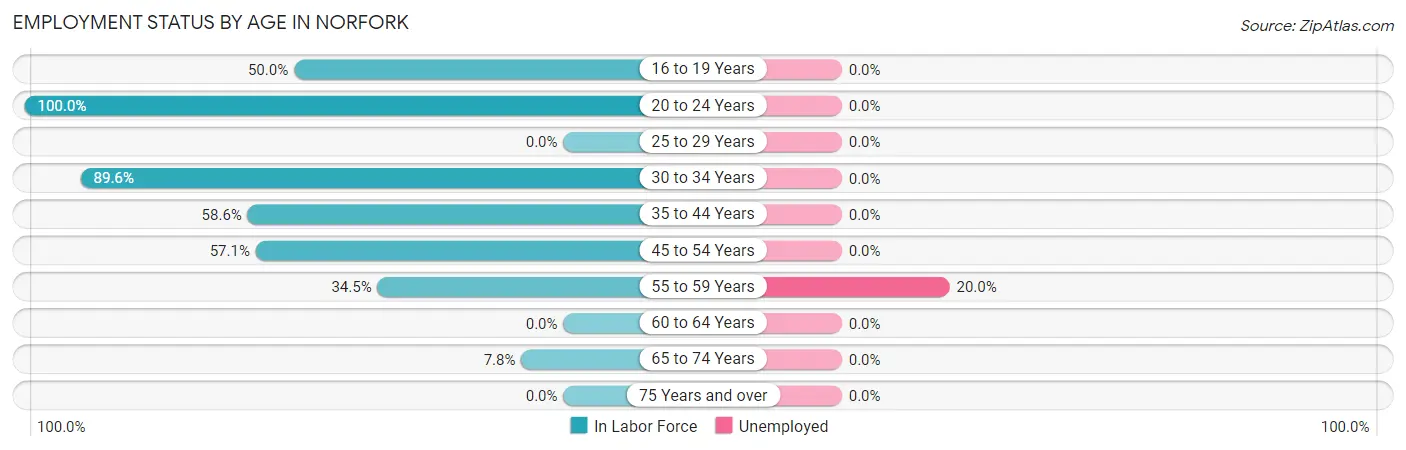 Employment Status by Age in Norfork