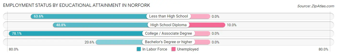 Employment Status by Educational Attainment in Norfork