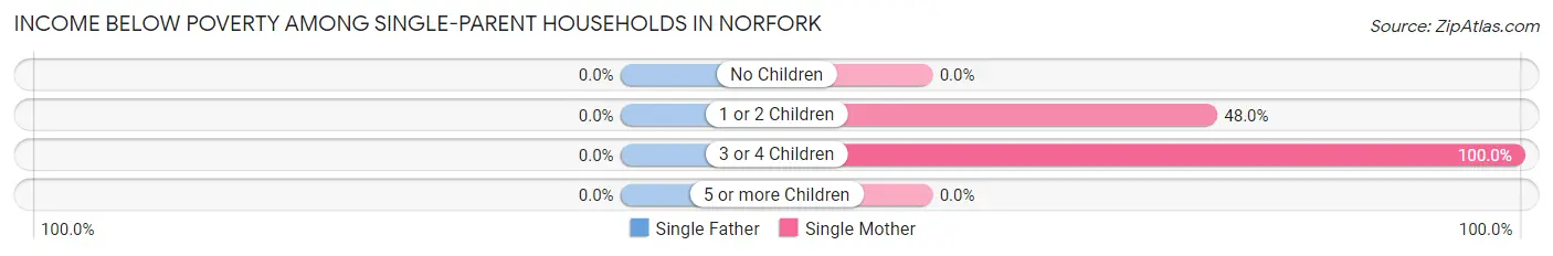 Income Below Poverty Among Single-Parent Households in Norfork