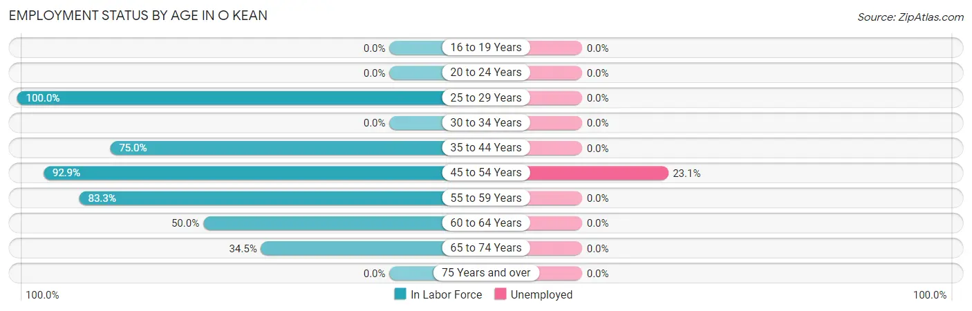 Employment Status by Age in O Kean
