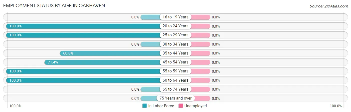 Employment Status by Age in Oakhaven