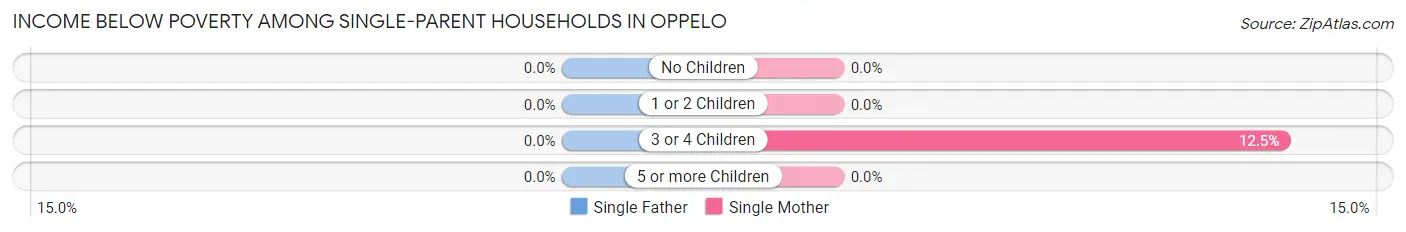 Income Below Poverty Among Single-Parent Households in Oppelo
