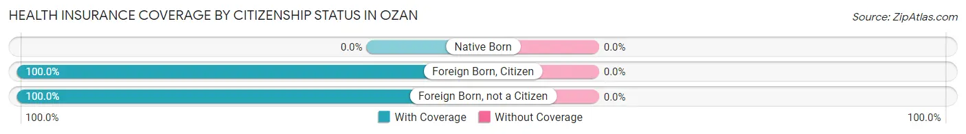 Health Insurance Coverage by Citizenship Status in Ozan