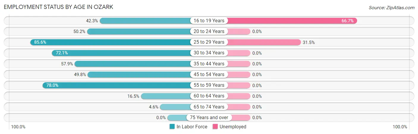 Employment Status by Age in Ozark