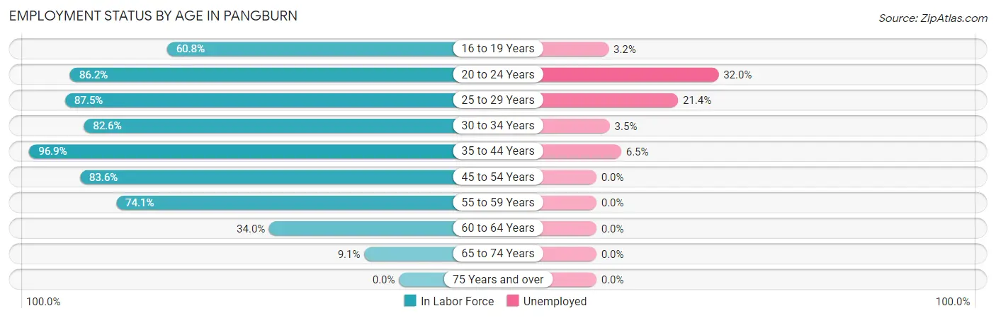 Employment Status by Age in Pangburn