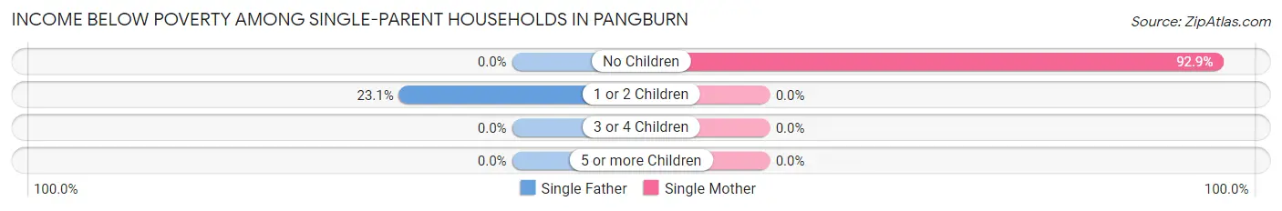 Income Below Poverty Among Single-Parent Households in Pangburn