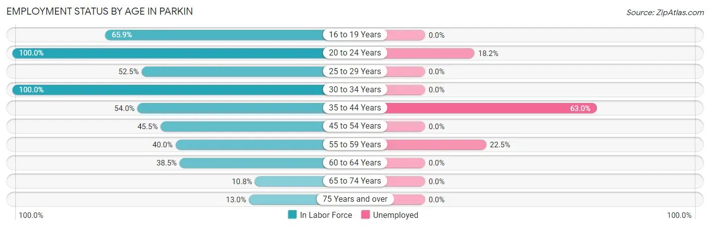 Employment Status by Age in Parkin