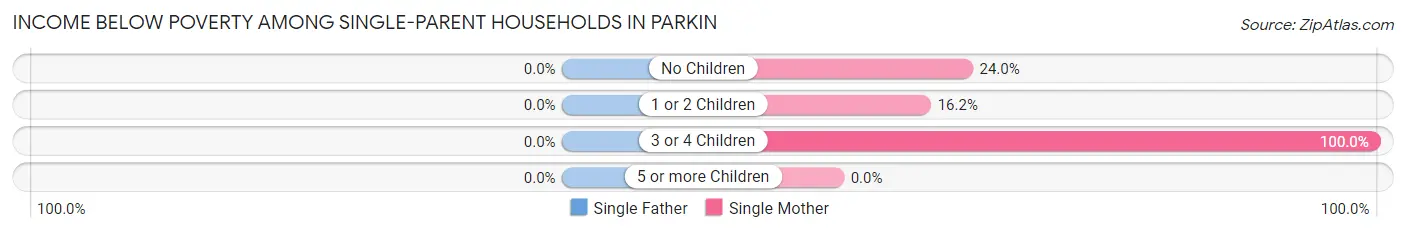 Income Below Poverty Among Single-Parent Households in Parkin