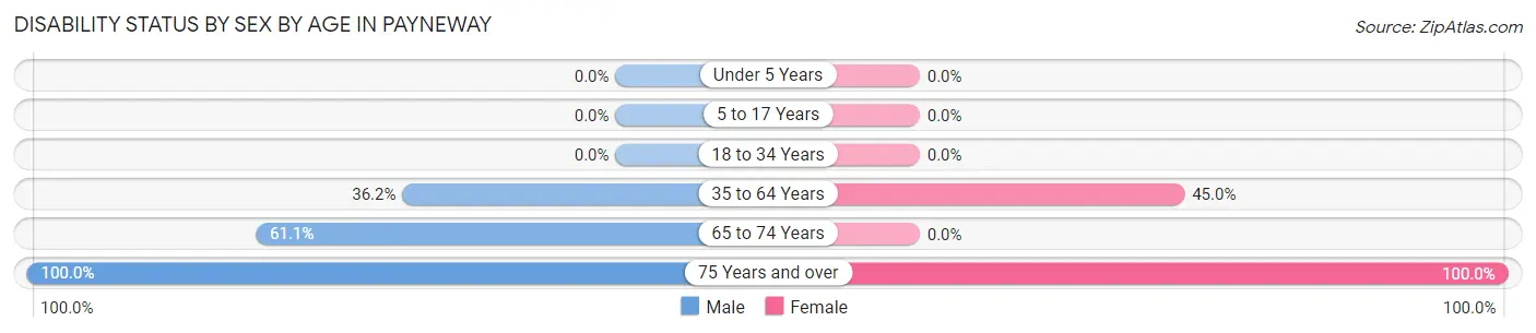 Disability Status by Sex by Age in Payneway