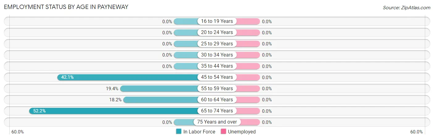 Employment Status by Age in Payneway