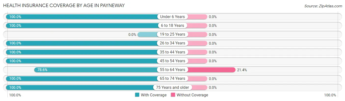 Health Insurance Coverage by Age in Payneway