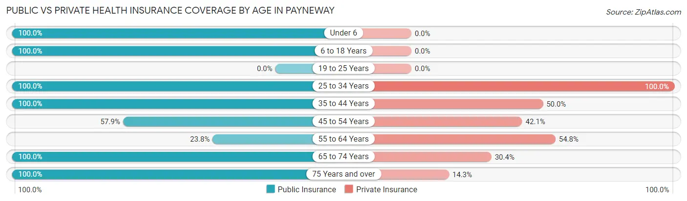 Public vs Private Health Insurance Coverage by Age in Payneway
