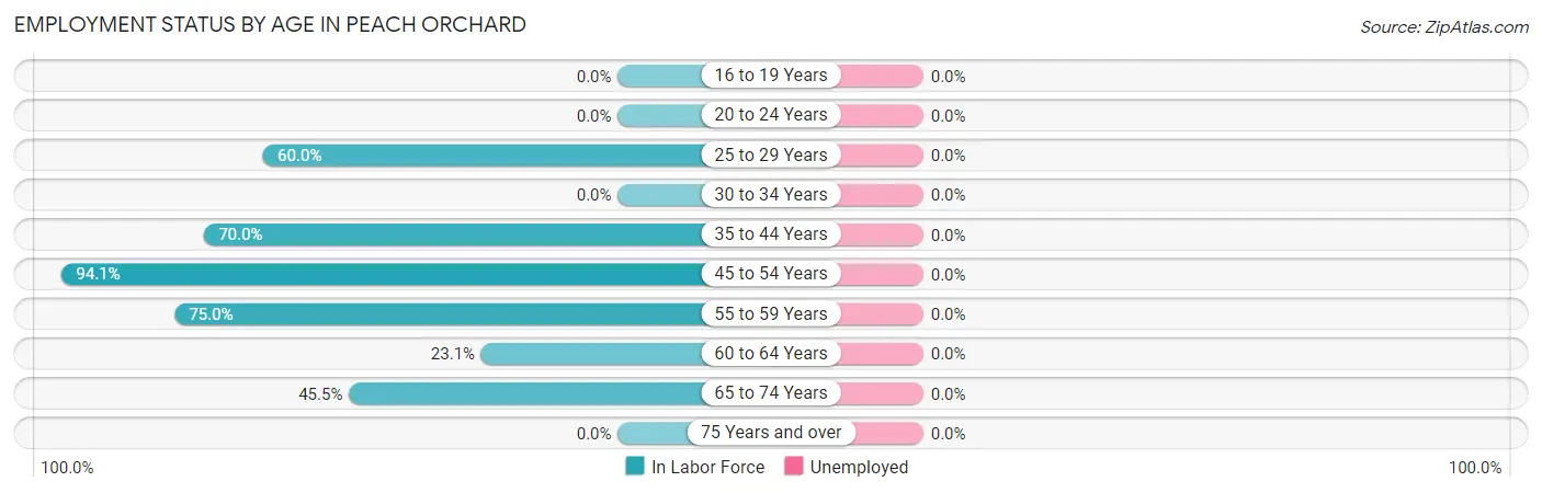 Employment Status by Age in Peach Orchard