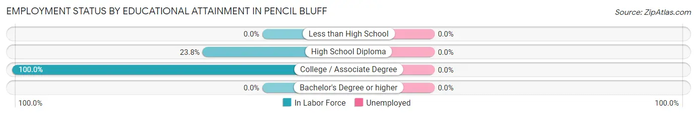 Employment Status by Educational Attainment in Pencil Bluff