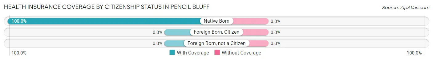Health Insurance Coverage by Citizenship Status in Pencil Bluff