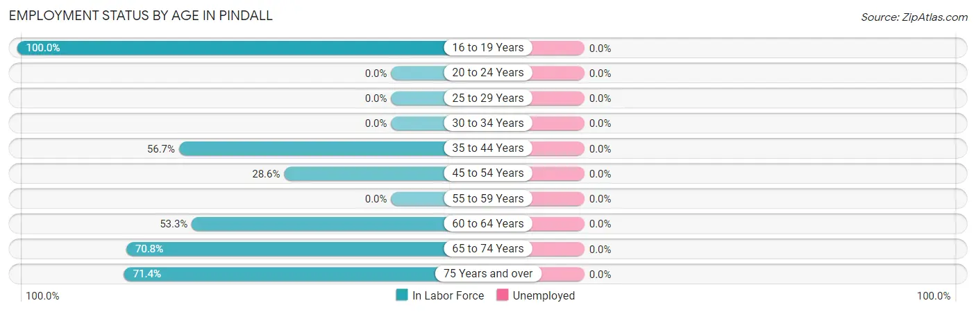 Employment Status by Age in Pindall