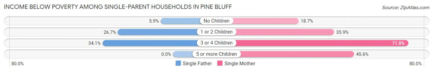 Income Below Poverty Among Single-Parent Households in Pine Bluff
