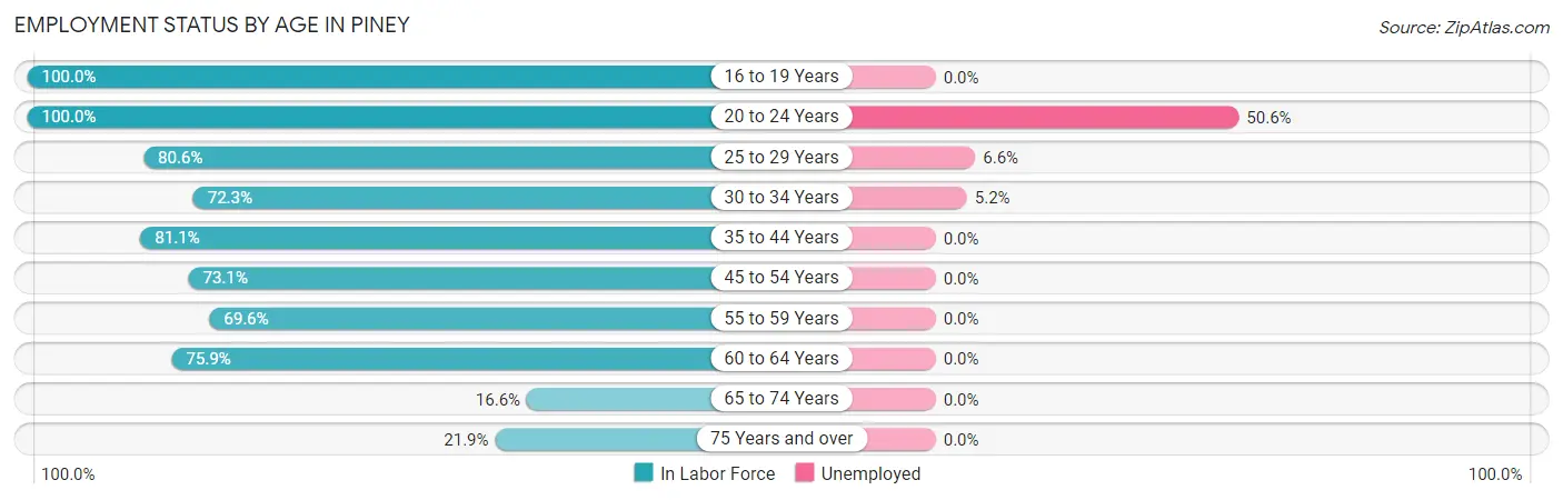 Employment Status by Age in Piney
