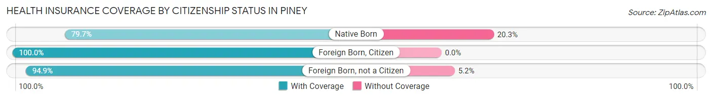 Health Insurance Coverage by Citizenship Status in Piney
