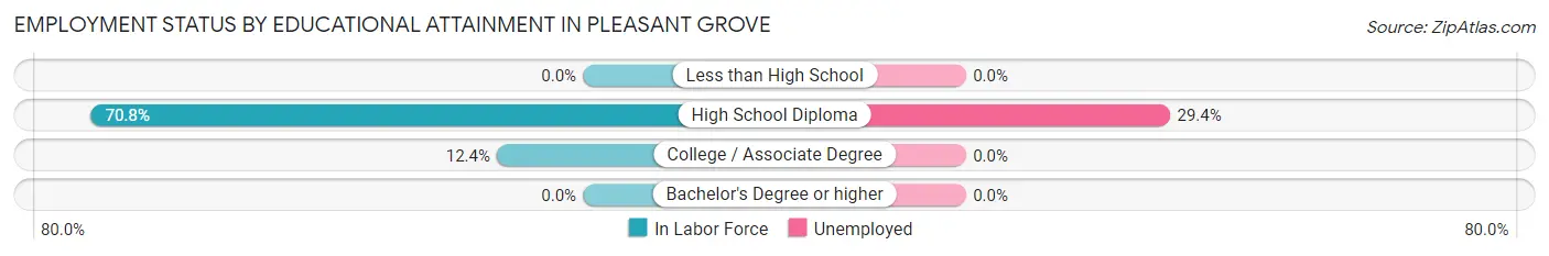 Employment Status by Educational Attainment in Pleasant Grove