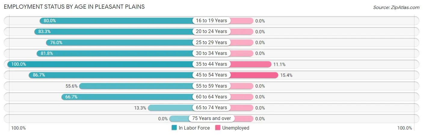 Employment Status by Age in Pleasant Plains