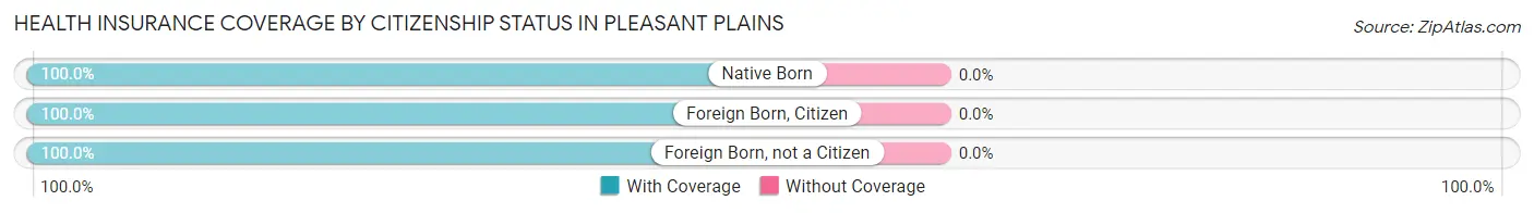 Health Insurance Coverage by Citizenship Status in Pleasant Plains