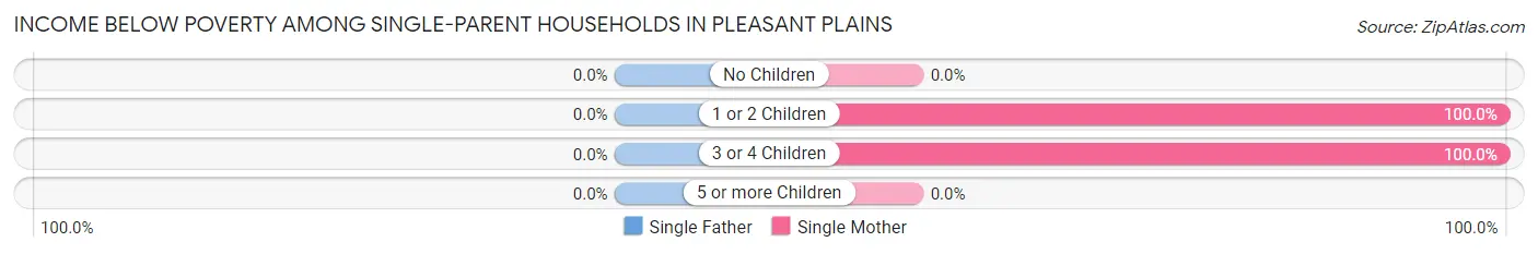 Income Below Poverty Among Single-Parent Households in Pleasant Plains