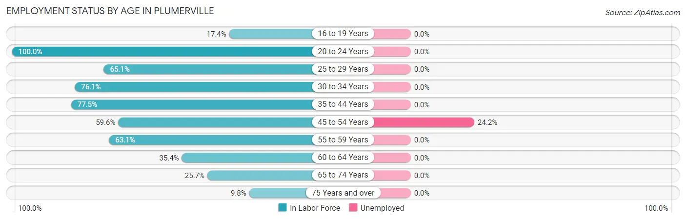 Employment Status by Age in Plumerville