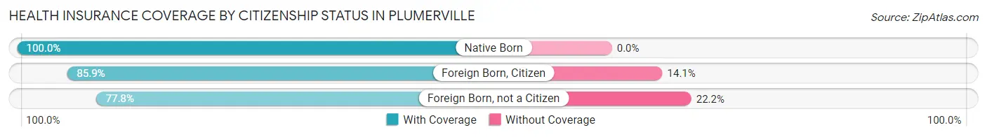 Health Insurance Coverage by Citizenship Status in Plumerville