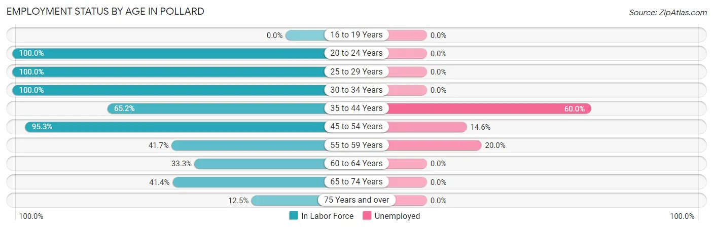 Employment Status by Age in Pollard