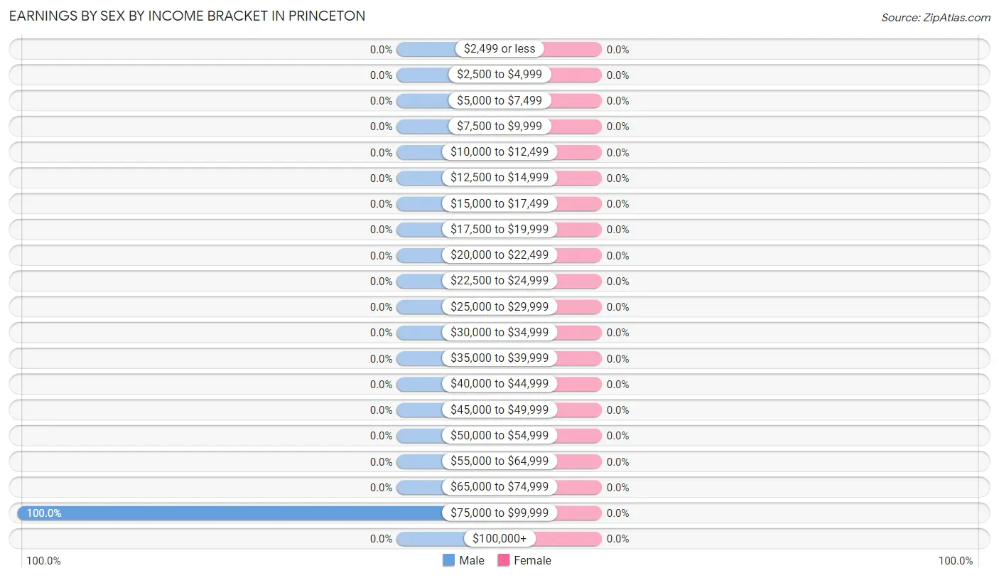 Earnings by Sex by Income Bracket in Princeton