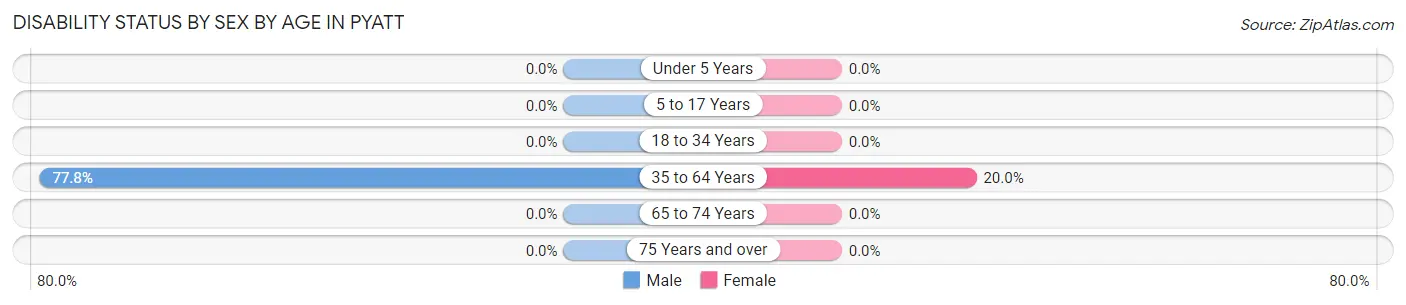 Disability Status by Sex by Age in Pyatt