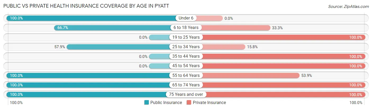 Public vs Private Health Insurance Coverage by Age in Pyatt