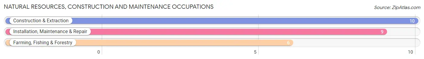 Natural Resources, Construction and Maintenance Occupations in Ravenden