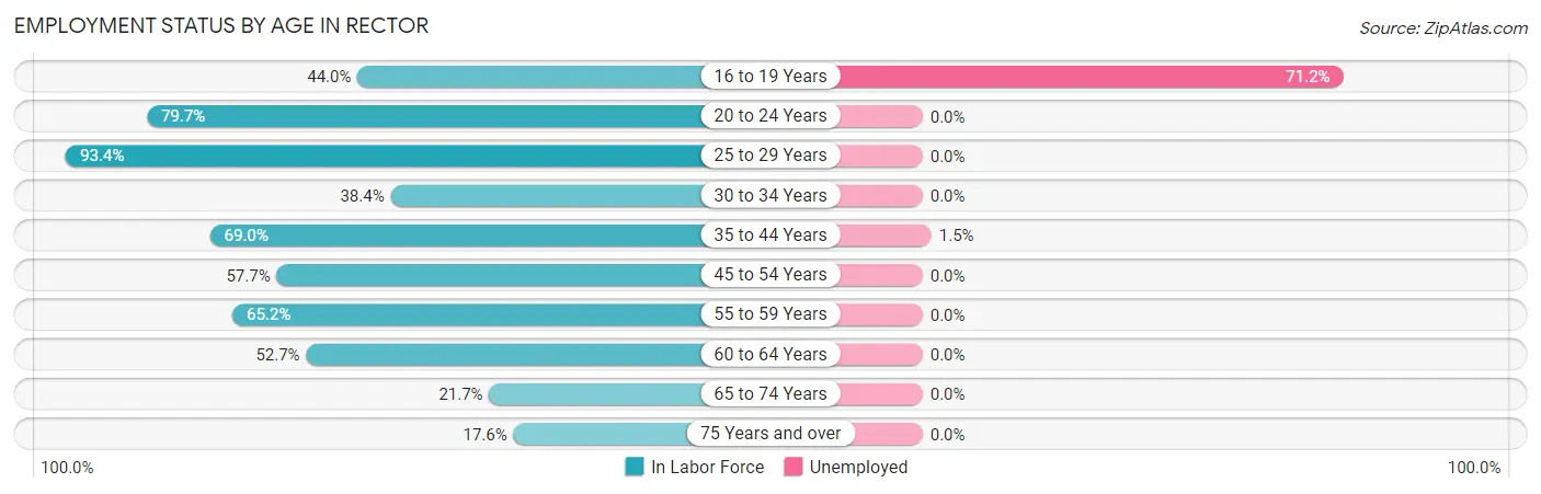 Employment Status by Age in Rector