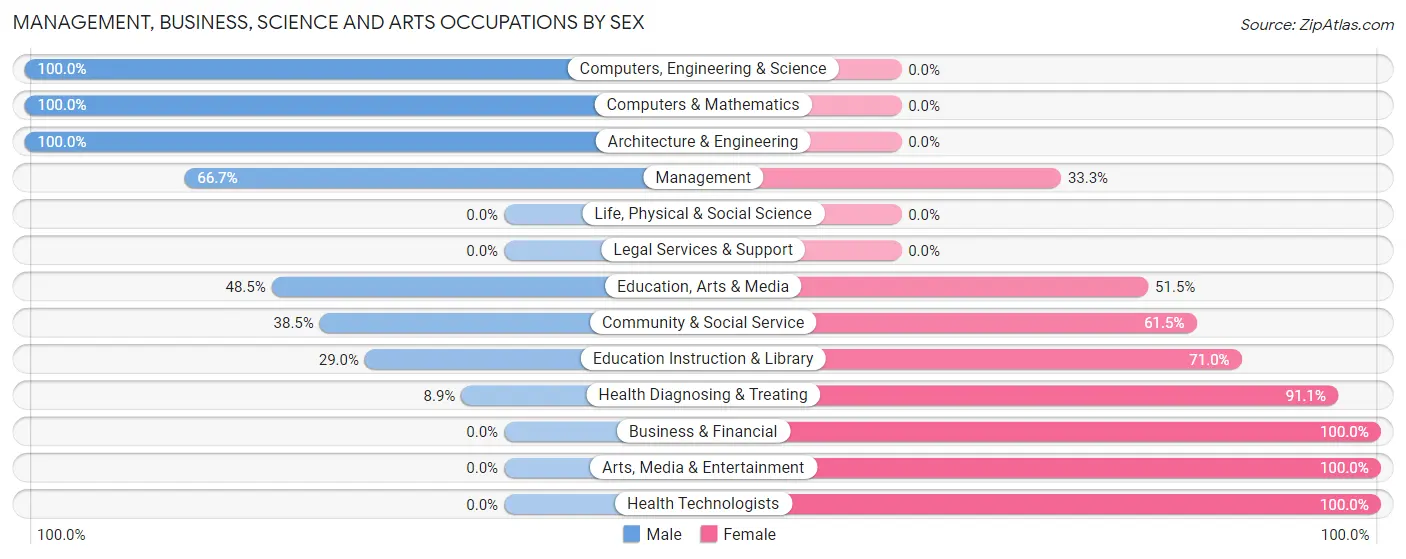 Management, Business, Science and Arts Occupations by Sex in Rector