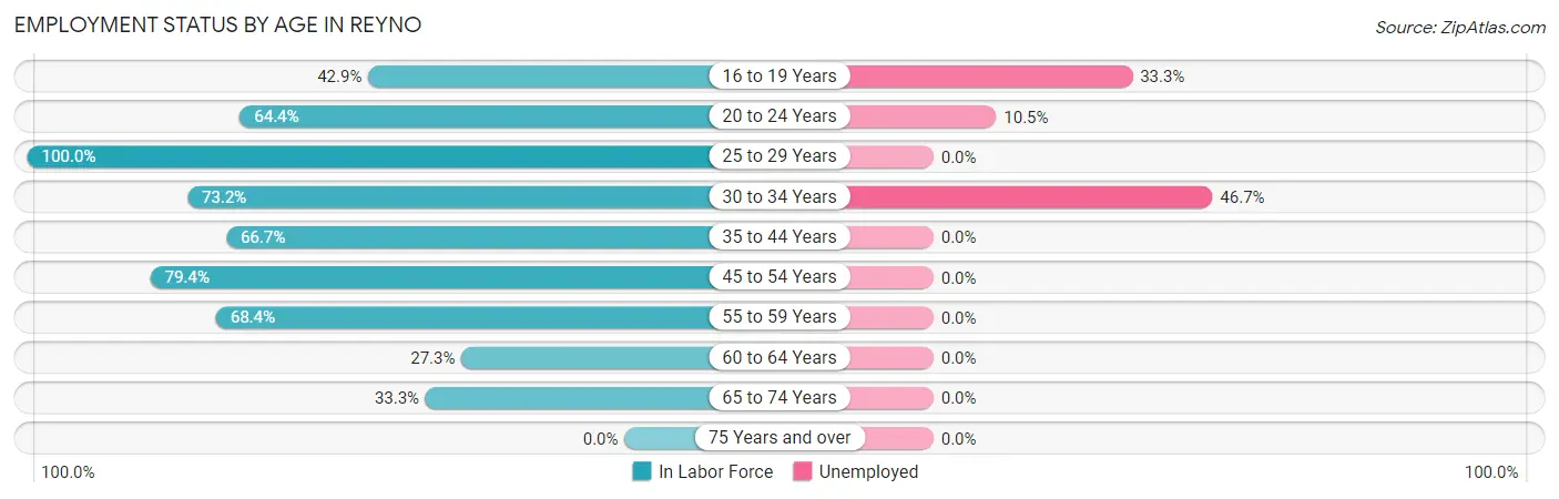 Employment Status by Age in Reyno