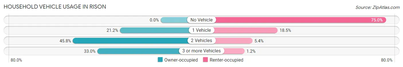 Household Vehicle Usage in Rison