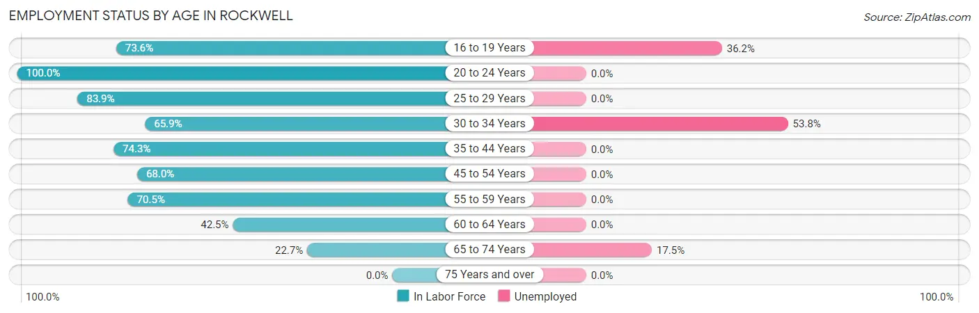 Employment Status by Age in Rockwell